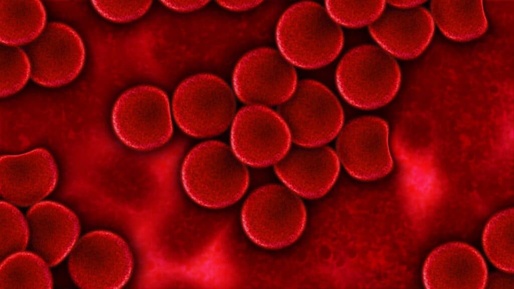 blood, blood plasma, red blood cells-75302.jpg